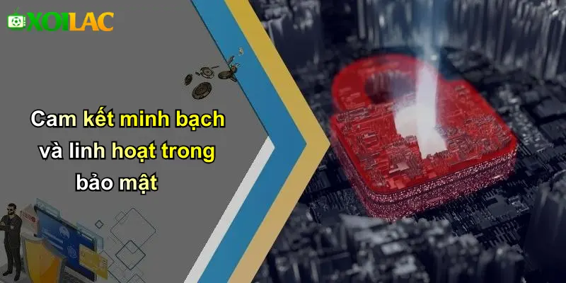 Cam kết minh bạch và linh hoạt trong bảo mật
