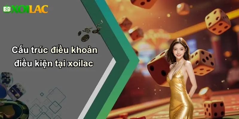 Cấu trúc điều khoản điều kiện tại xoilac