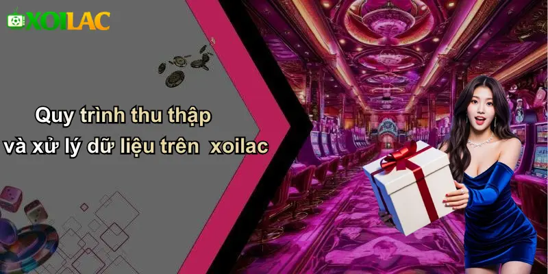 Quy trình thu thập và xử lý dữ liệu trên xoilac