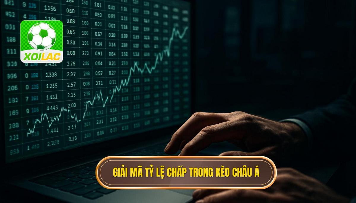 Giải mã các loại tỷ lệ chấp cơ bản trong Kèo châu Á