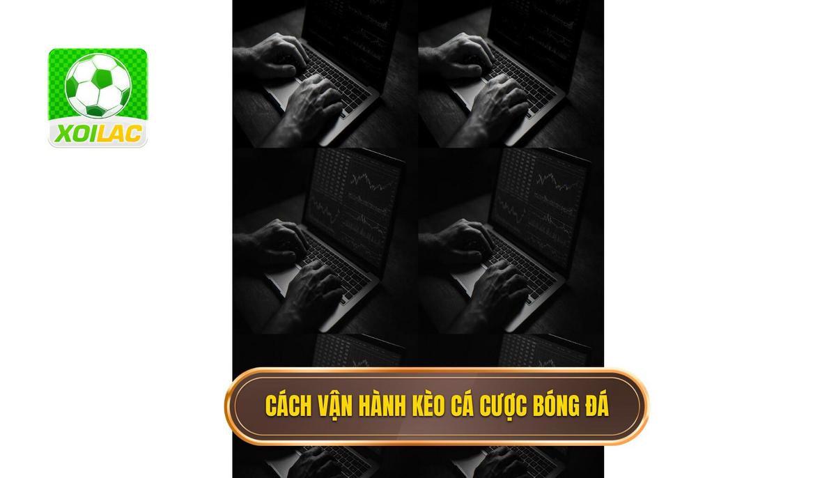 Bản chất và cách vận hành của kèo thắng hòa thua trong cá cược bóng đá