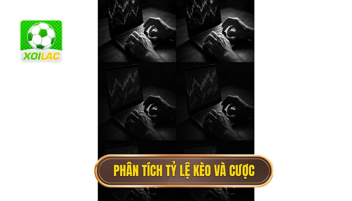 Phân tích bản chất của tỷ lệ kèo và giá trị đặt cược