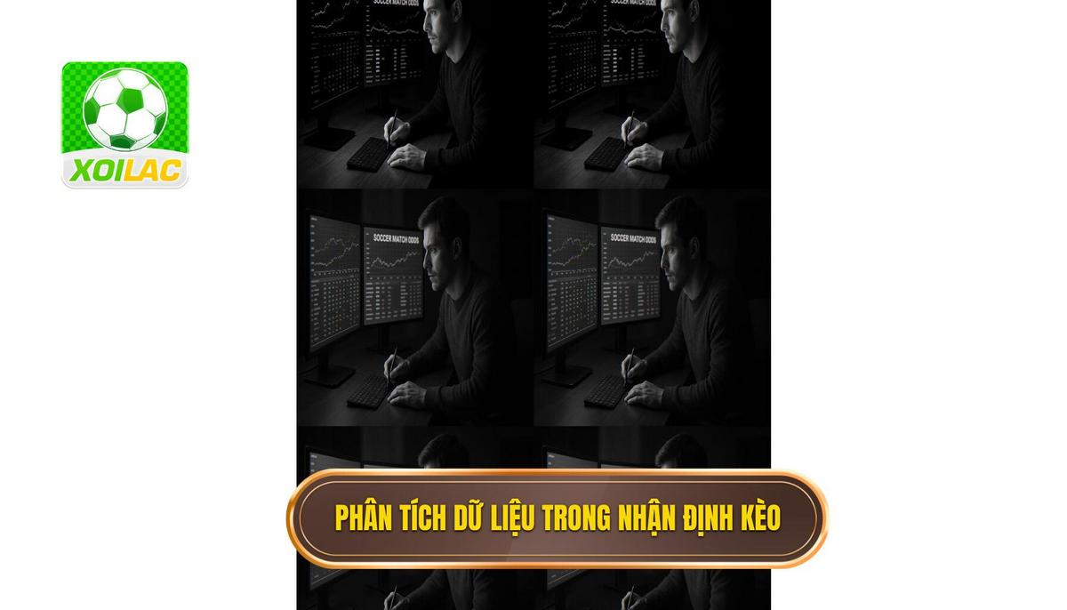 Phân tích dữ liệu định lượng trong nhận định kèo