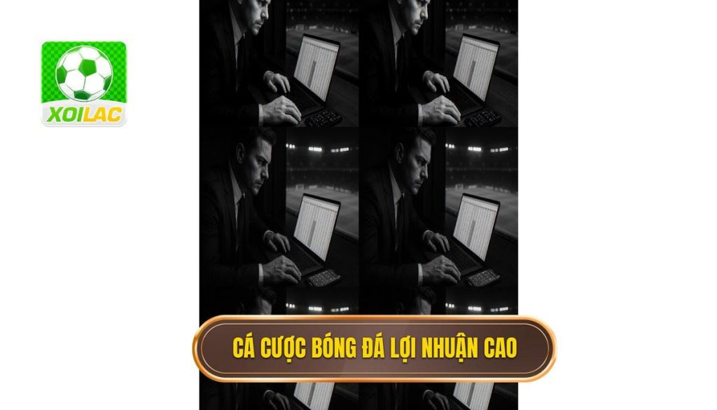 thumb - cá cược bóng đá lợi nhuận cao