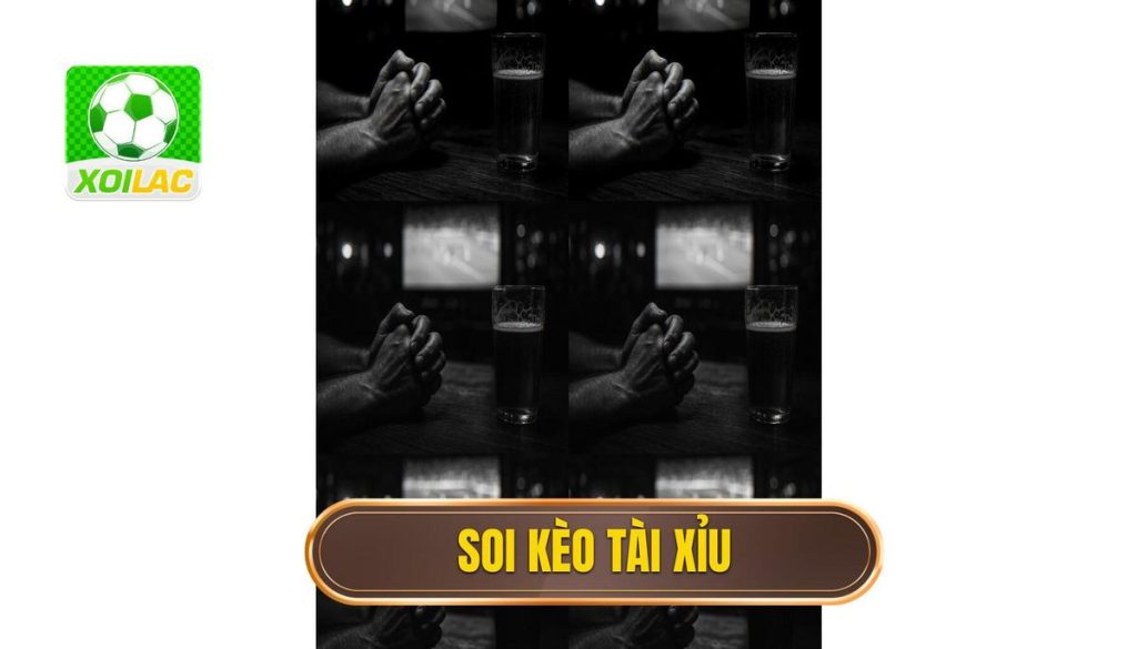 thumb - soi kèo tài xỉu