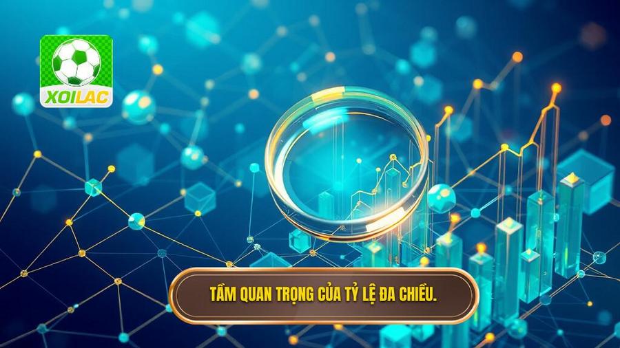 3. Tầm quan trọng của tỷ lệ đa chiều.