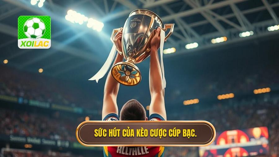 Sức hút của kèo cược cúp bạc